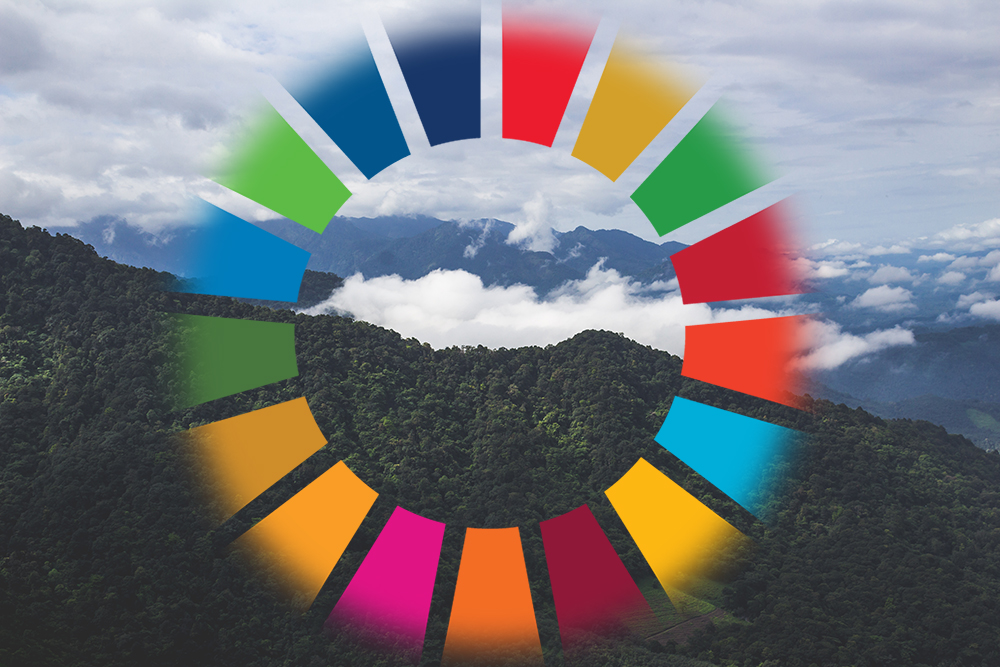 Agenda-2030-symbolen